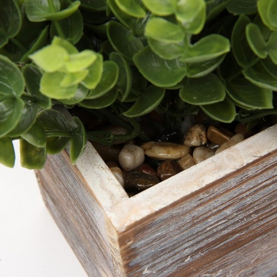 Plants Wooden Pots 